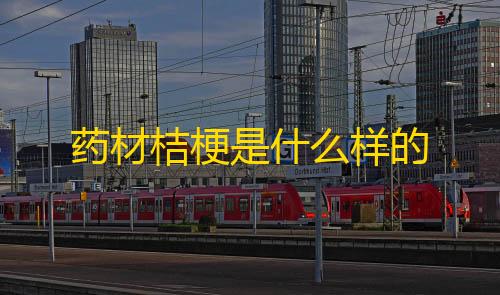 超凡公益直装免费版药材桔梗是什么样的